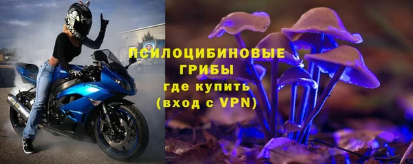 МДПВ Алзамай